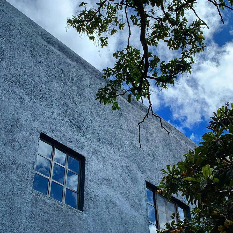 拉贝图利亚住宿加早餐酒店 Oaxaca 外观 照片